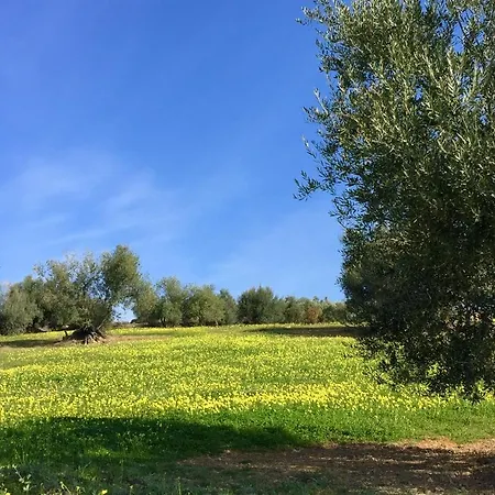 La Fuente